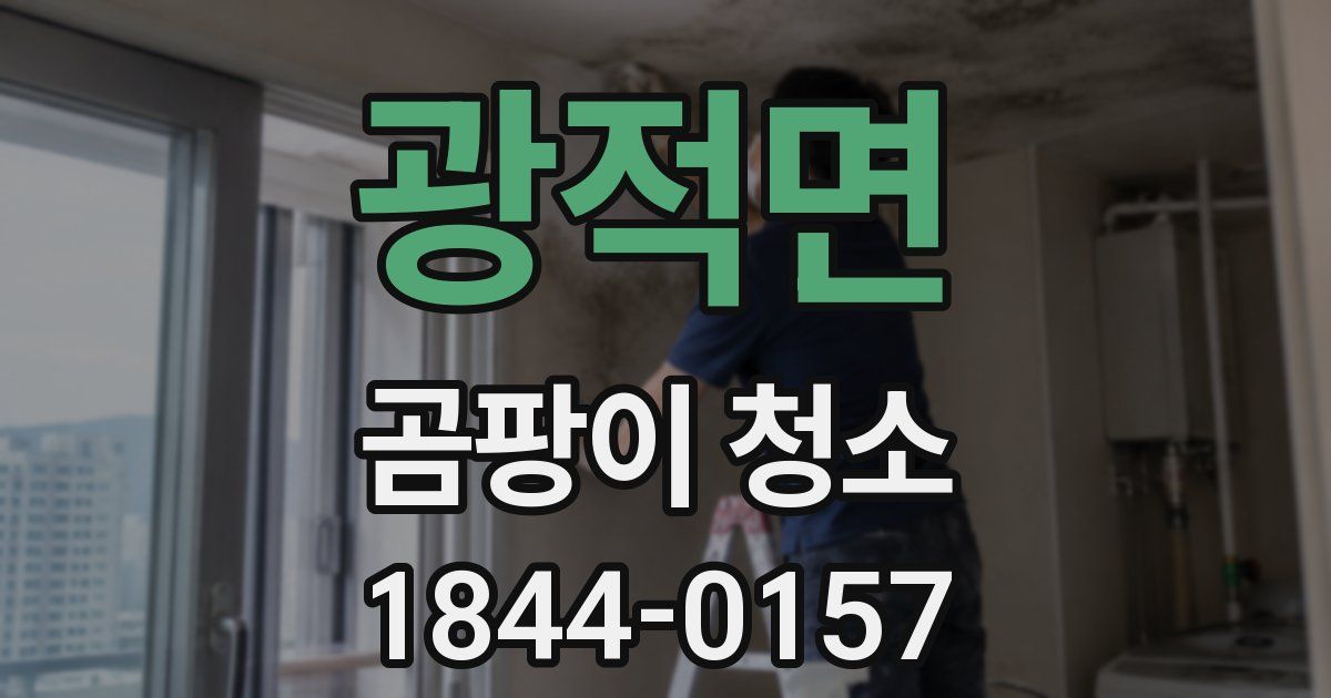 광적면 곰팡이 청소