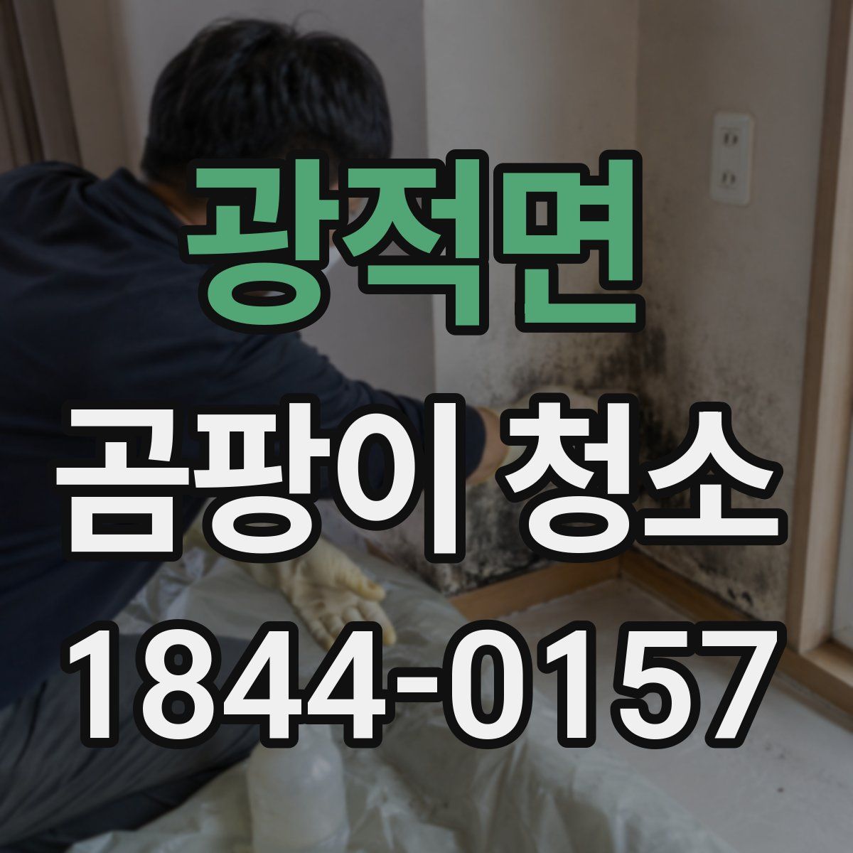 광적면 곰팡이 청소