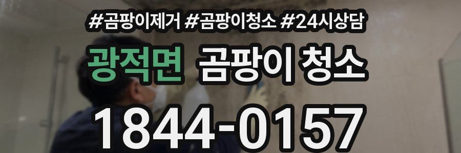 광적면 곰팡이 청소