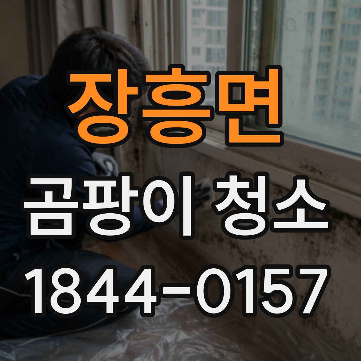 장흥면 곰팡이 청소