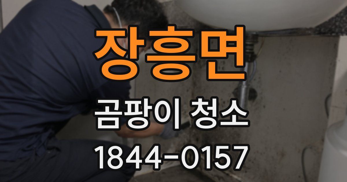 장흥면 곰팡이 청소