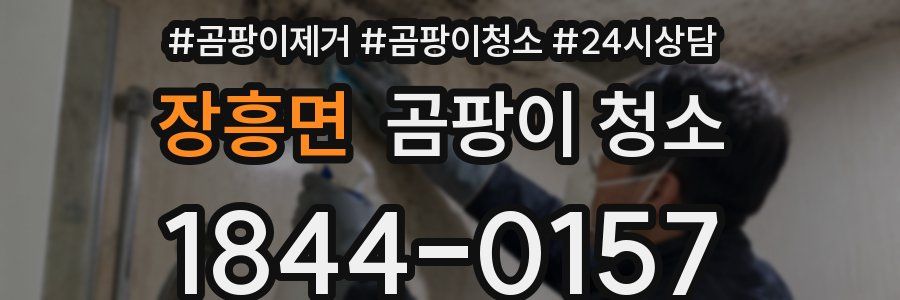 장흥면 곰팡이 청소