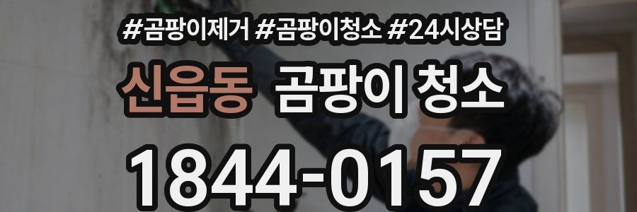 신읍동 곰팡이 청소