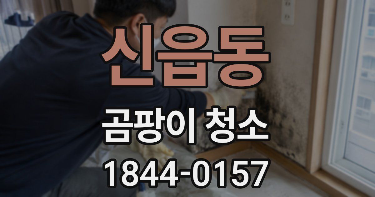 신읍동 곰팡이 청소