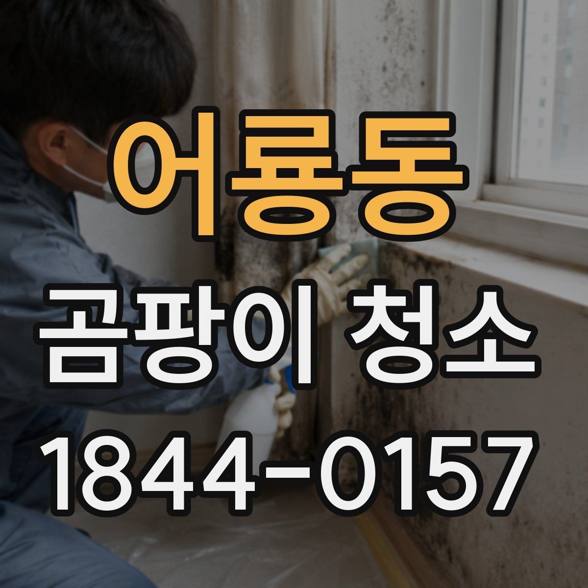 어룡동 곰팡이 청소 베란다 바닥과 벽 모서리를 나눠 점검하기