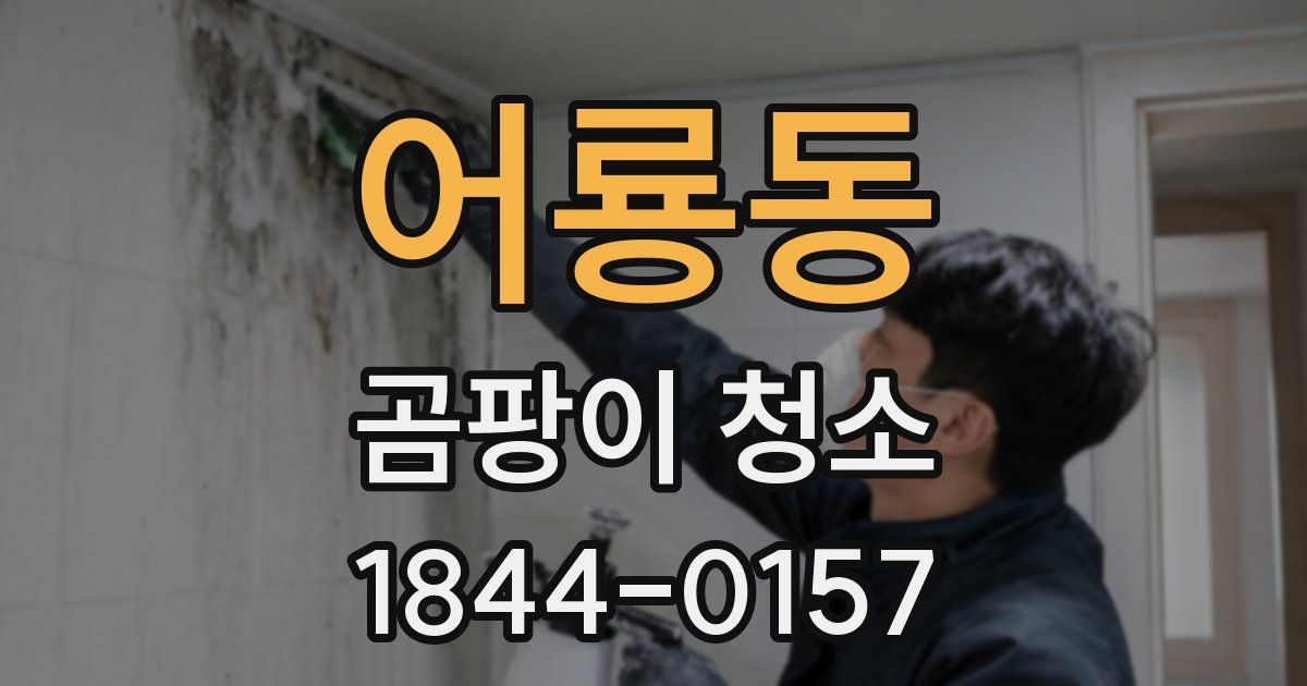 어룡동 곰팡이 청소