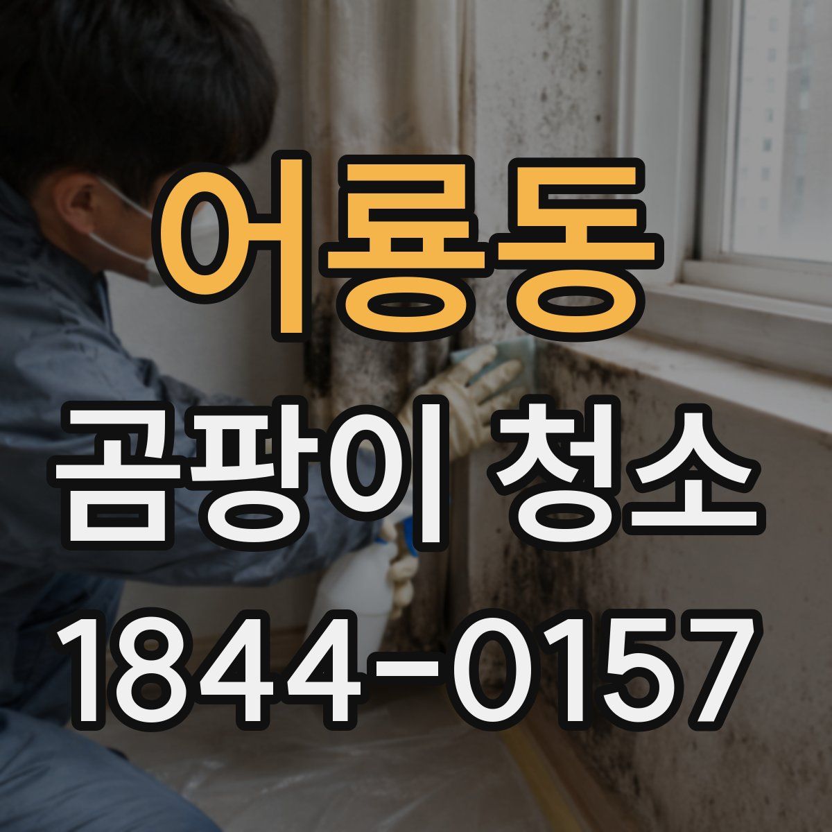 어룡동 곰팡이 청소
