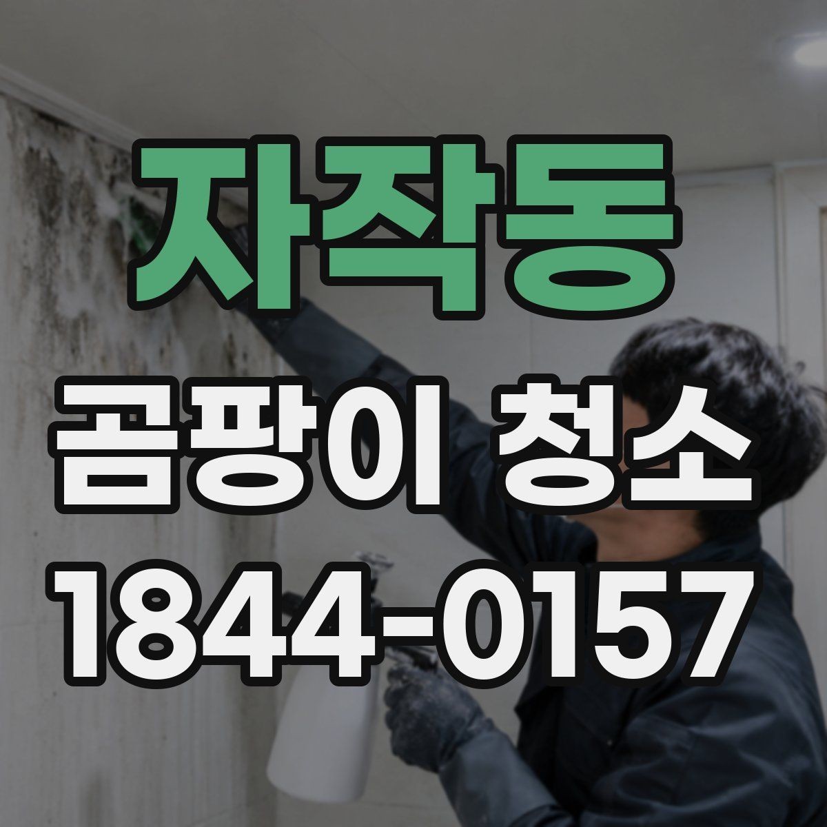 자작동 곰팡이 청소 포자 확산을 줄이는 작업 동선과 환기 타이밍