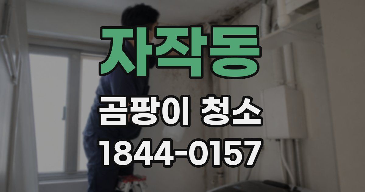 자작동 곰팡이 청소
