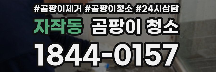 자작동 곰팡이 청소