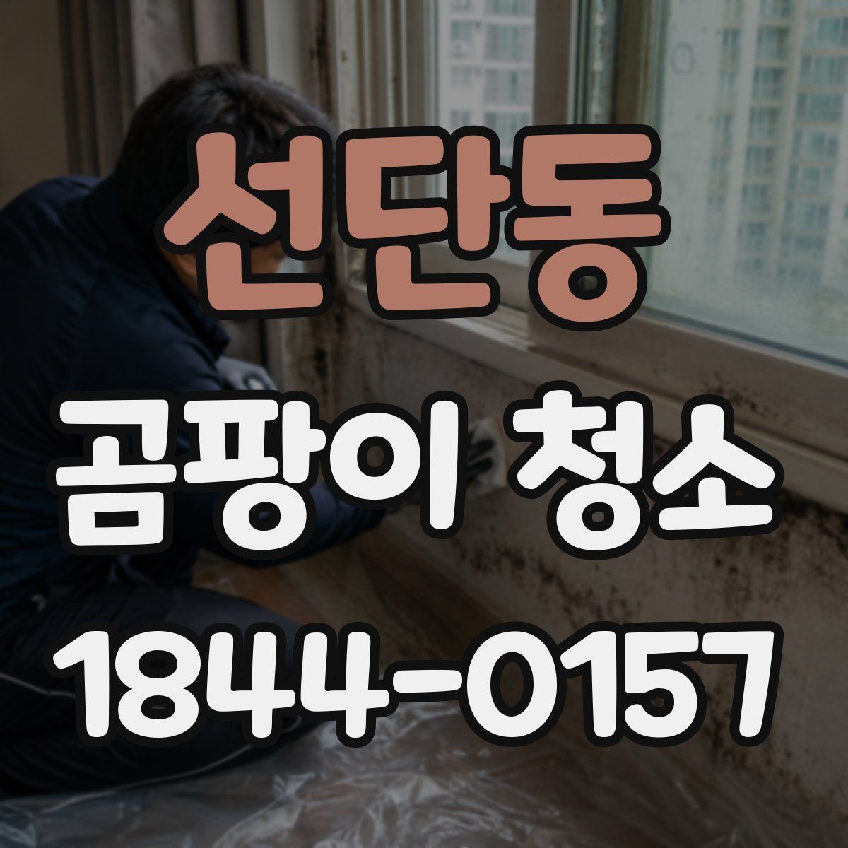 선단동 곰팡이 청소