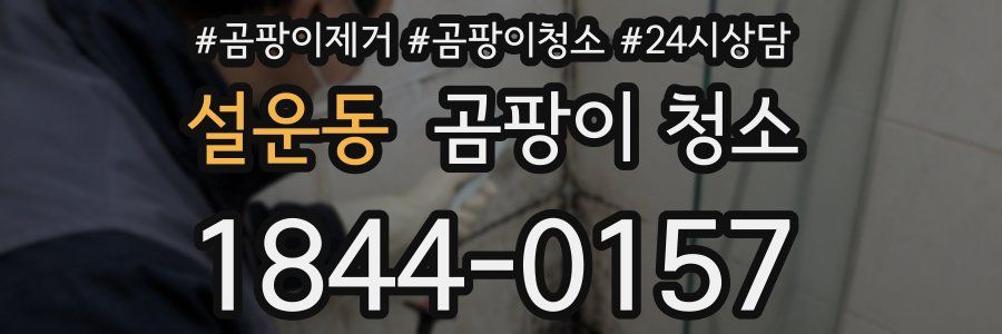 설운동 곰팡이 청소