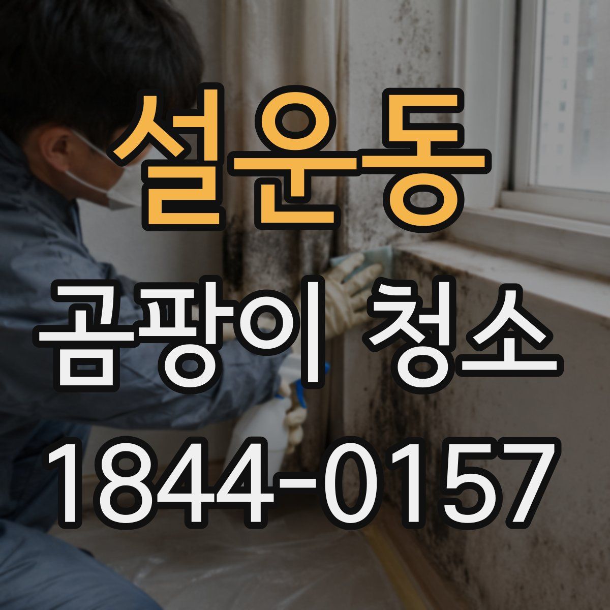 설운동 곰팡이 청소