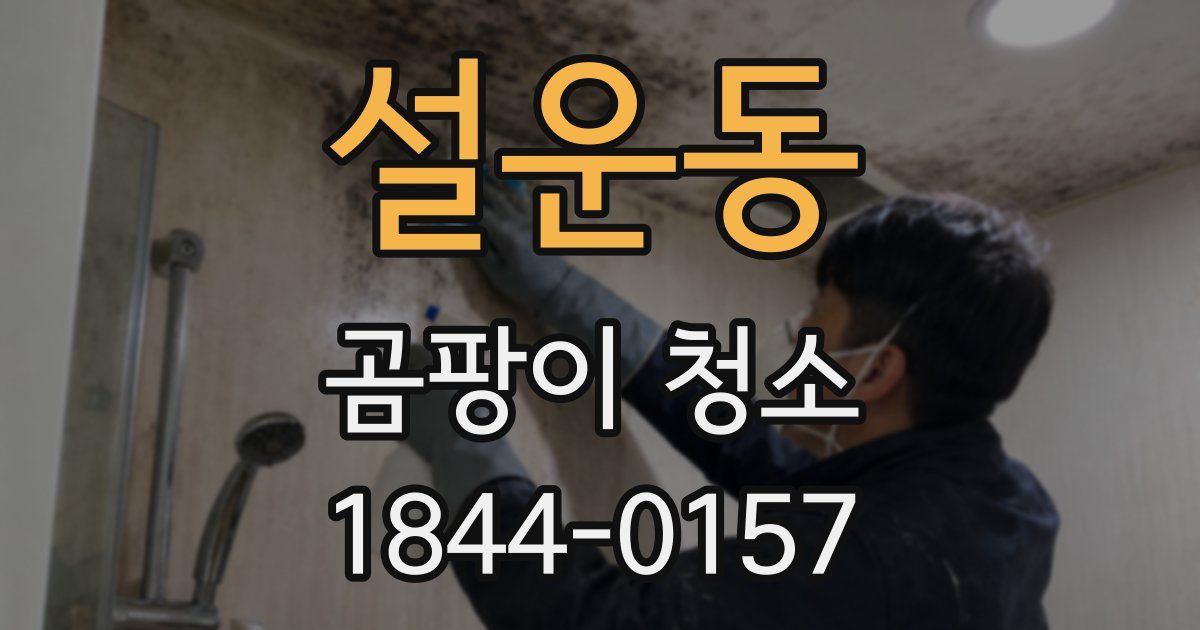 설운동 곰팡이 청소