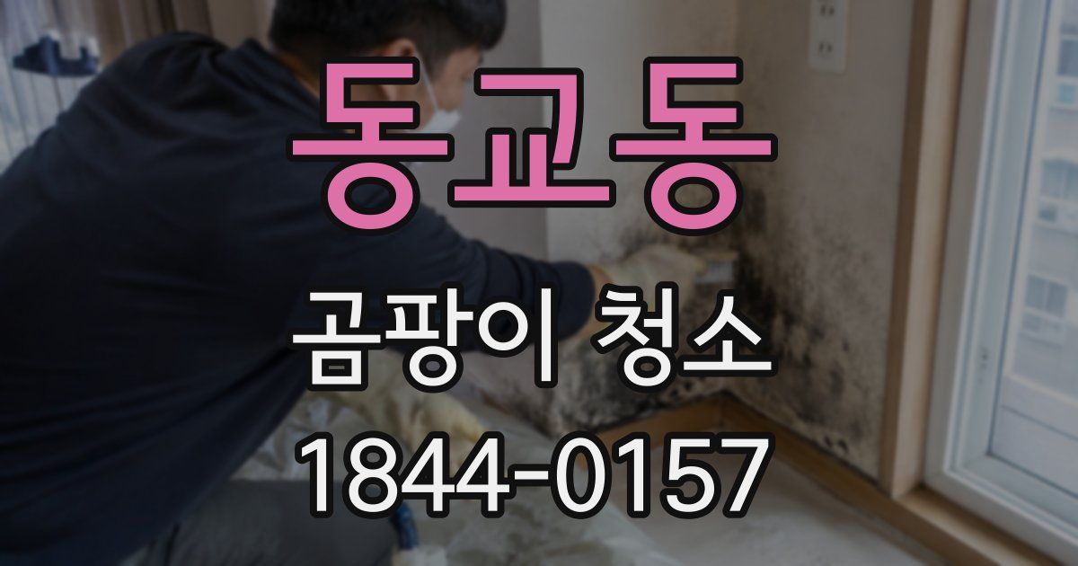 동교동 곰팡이 청소