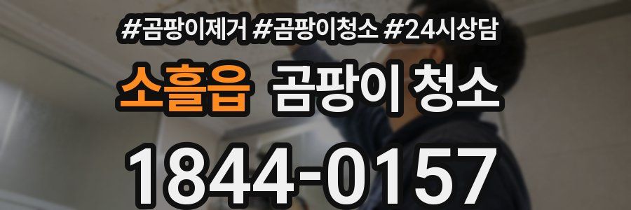 소흘읍 곰팡이 청소