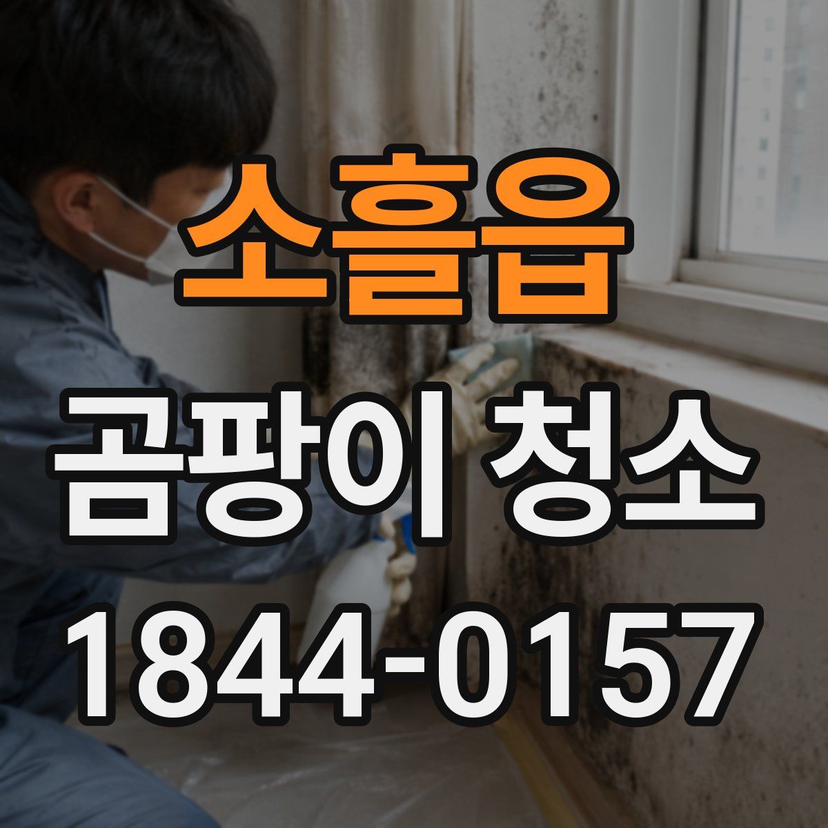 소흘읍 곰팡이 청소