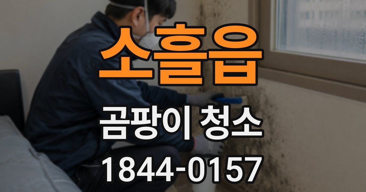 소흘읍 곰팡이 청소