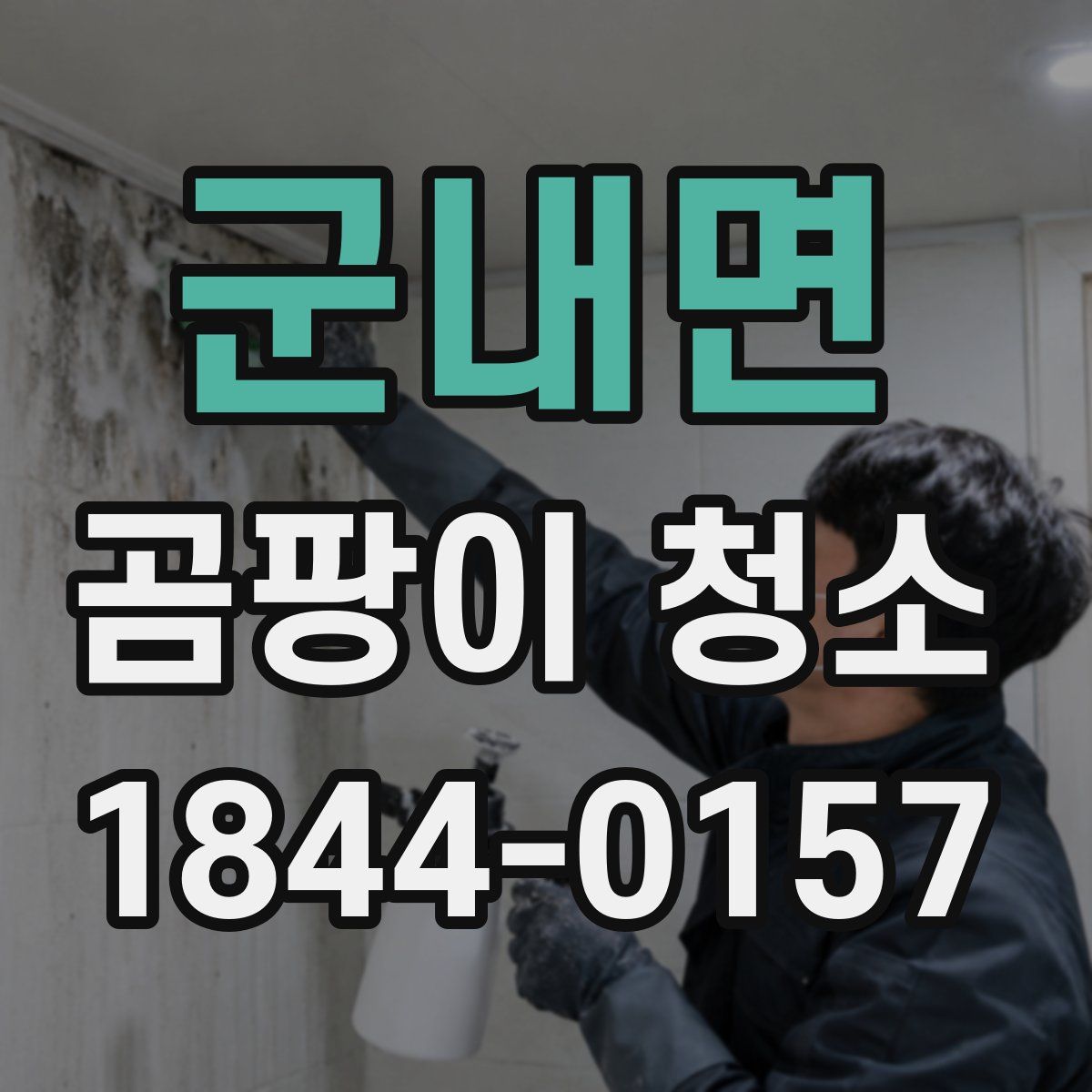 군내면 곰팡이 청소