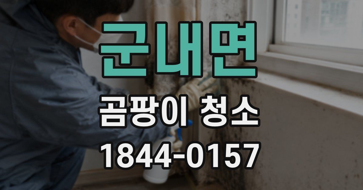군내면 곰팡이 청소