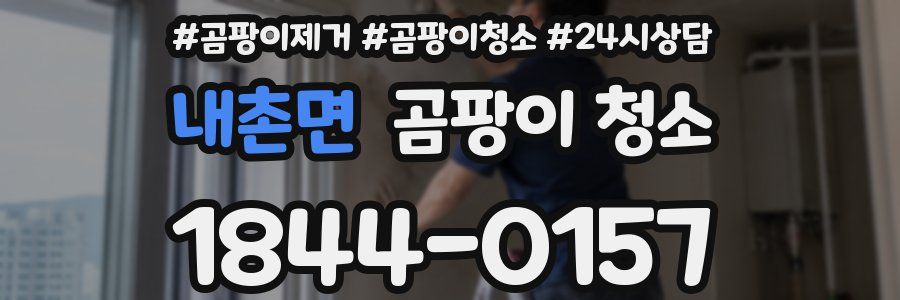 내촌면 곰팡이 청소