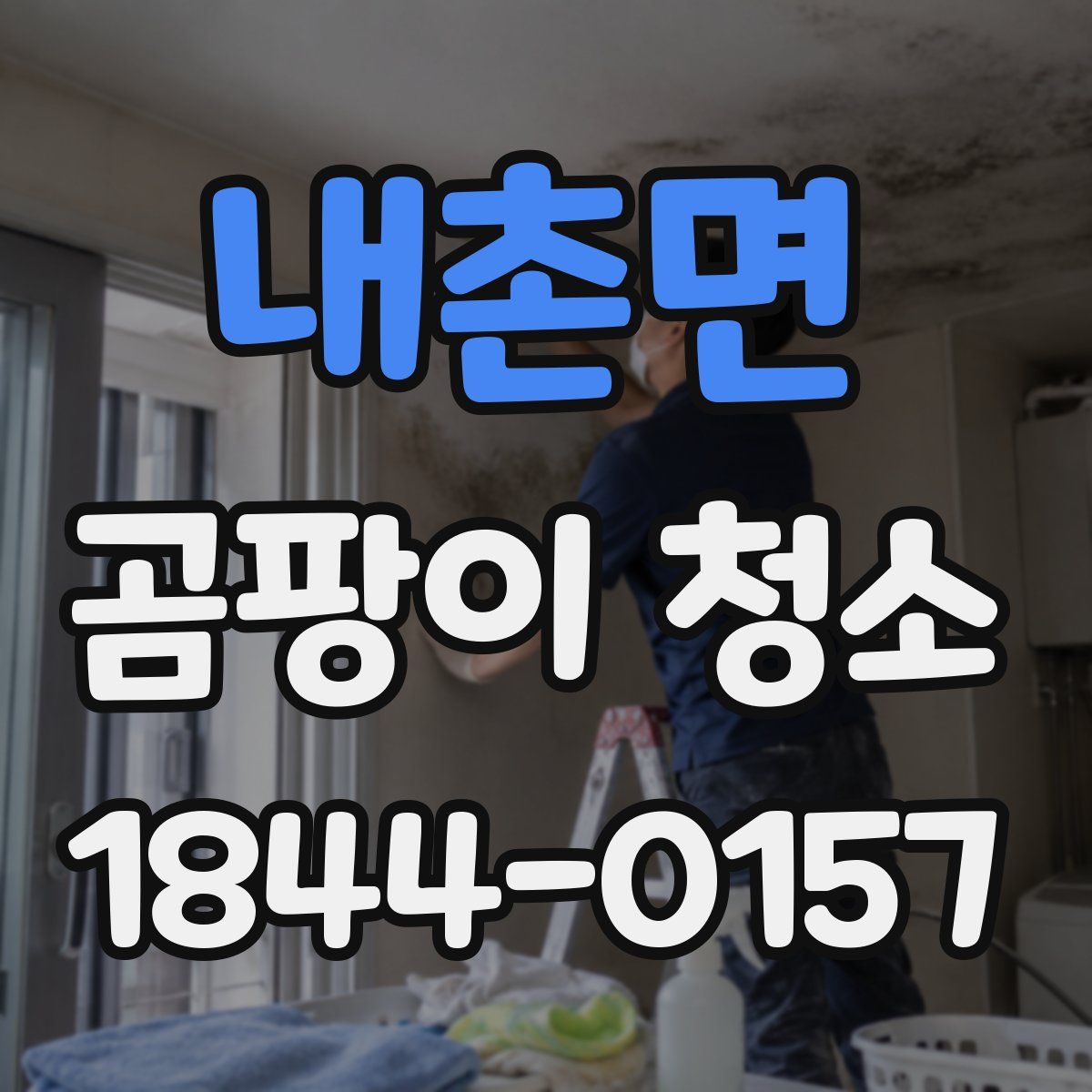 내촌면 곰팡이 청소