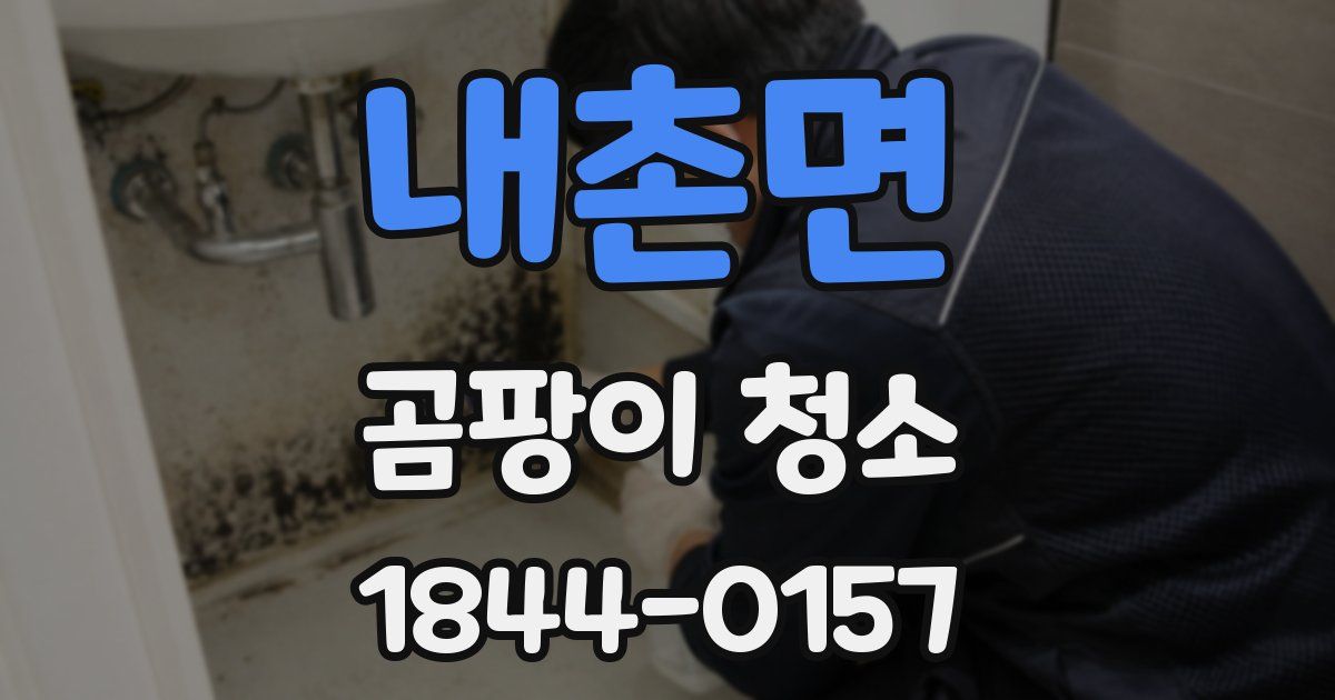 내촌면 곰팡이 청소