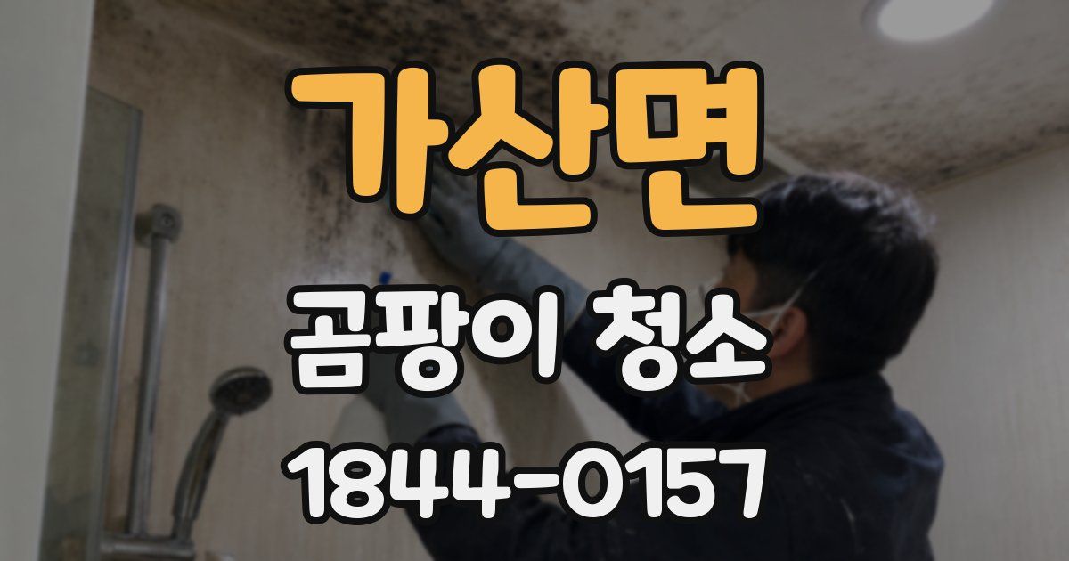 가산면 곰팡이 청소