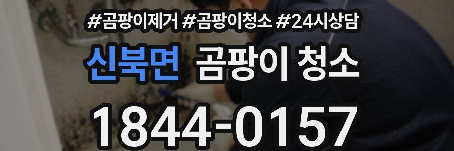 신북면 곰팡이 청소