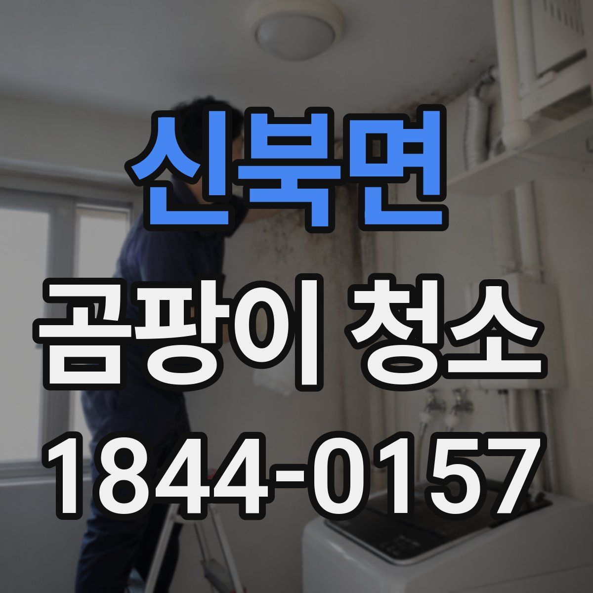 신북면 곰팡이 청소