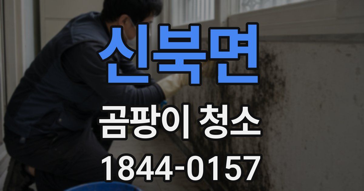 신북면 곰팡이 청소