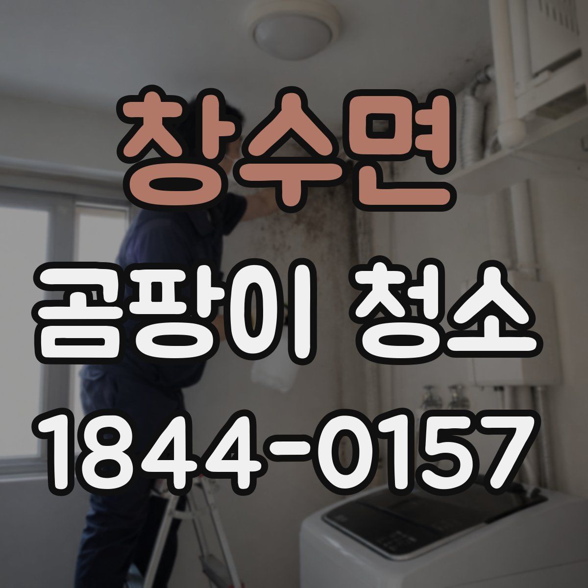 창수면 곰팡이 청소