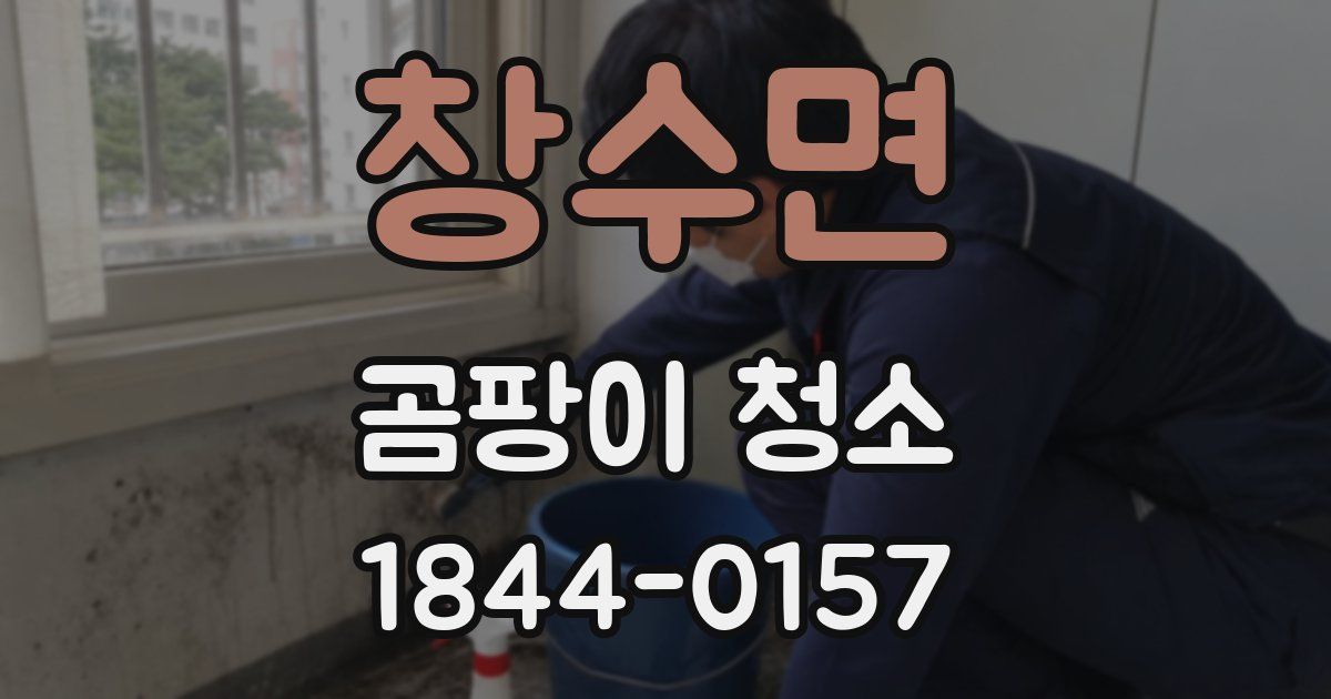창수면 곰팡이 청소