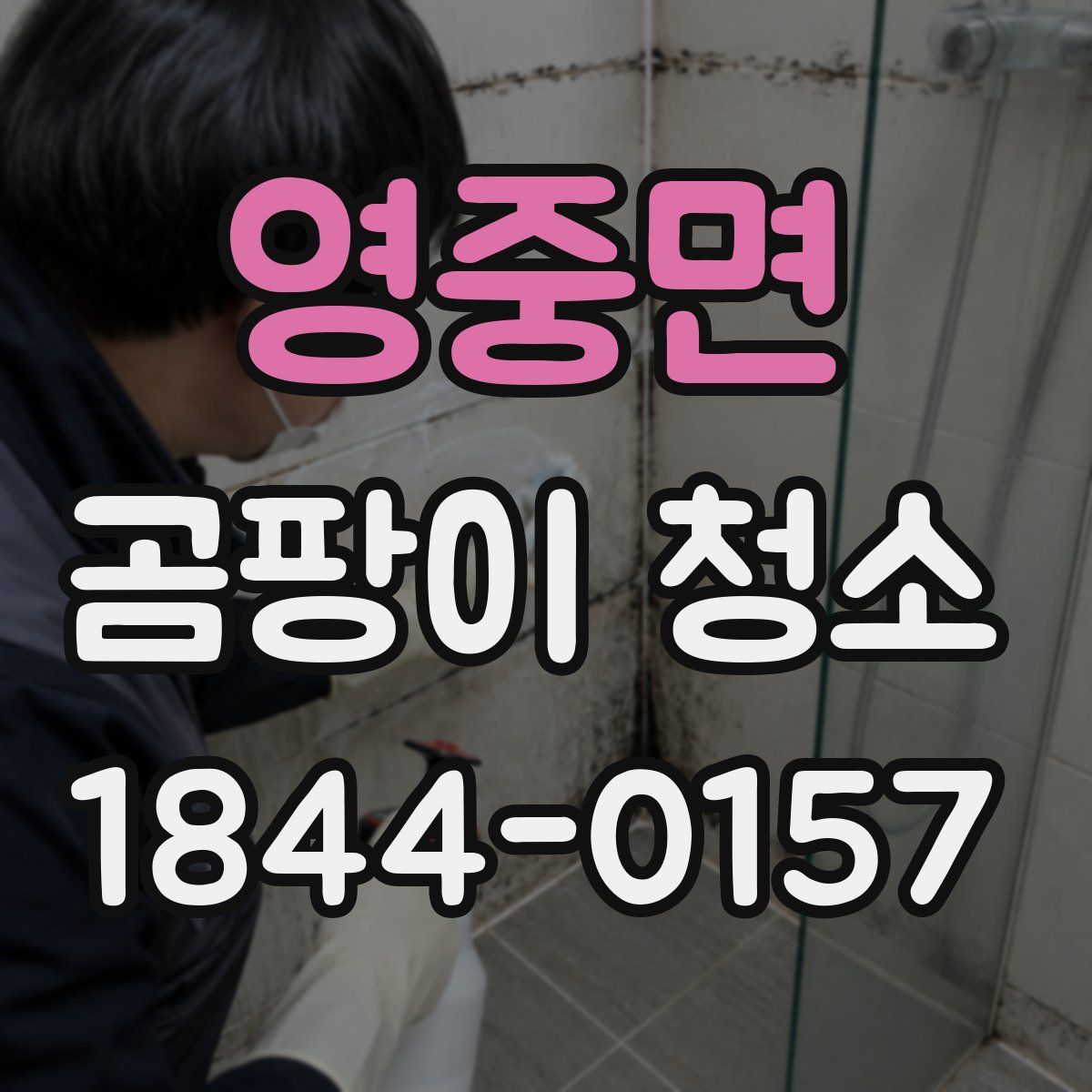 영중면 곰팡이 청소