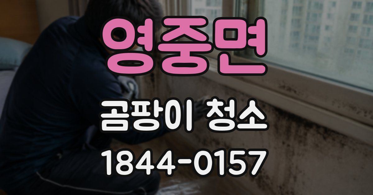 영중면 곰팡이 청소