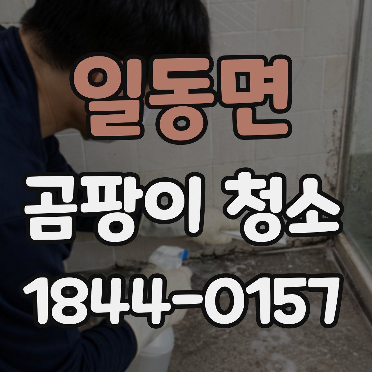 일동면 곰팡이 청소