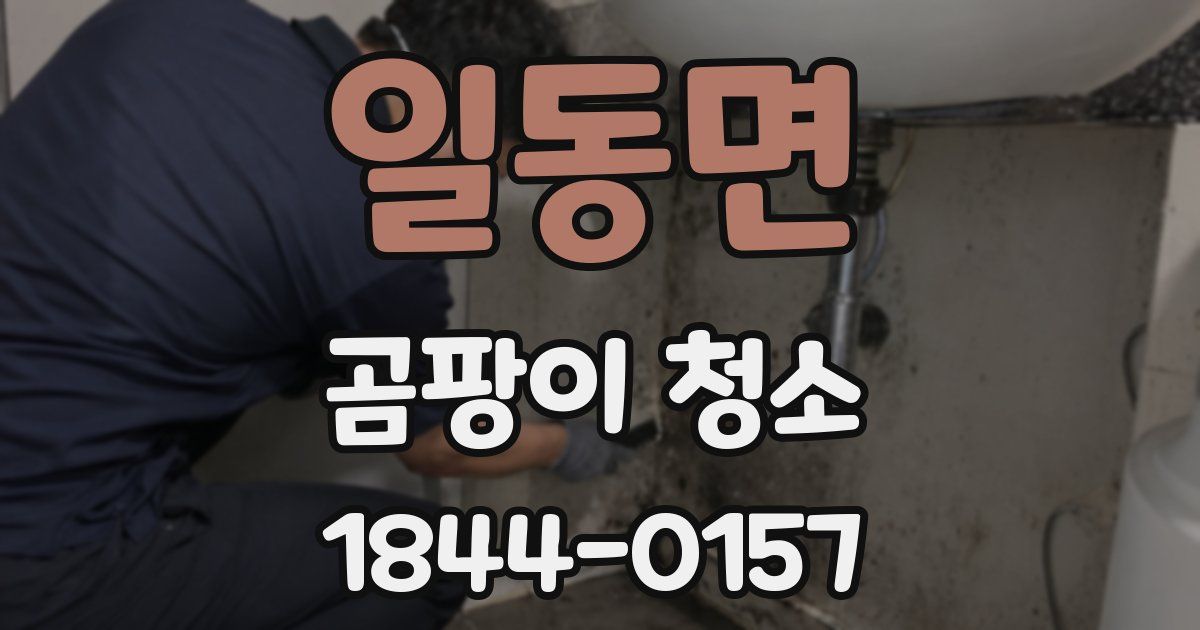 일동면 곰팡이 청소