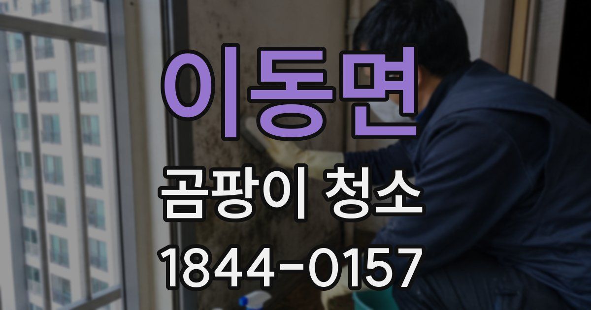 이동면 곰팡이 청소