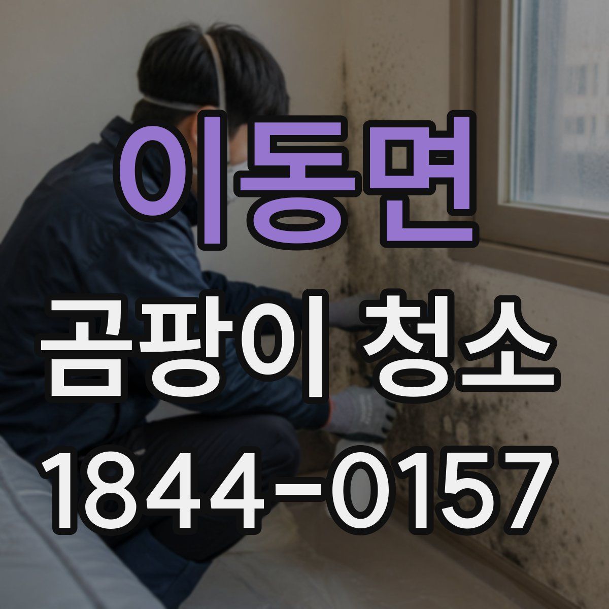 이동면 곰팡이 청소