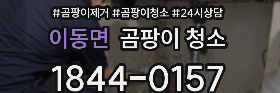 이동면 곰팡이 청소