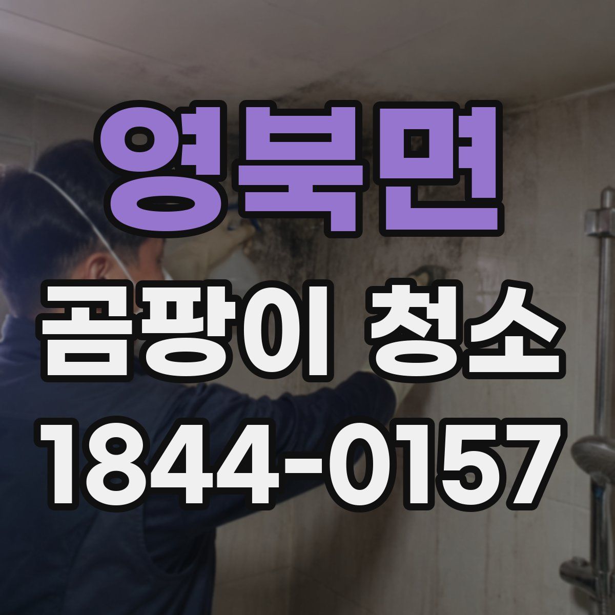 영북면 곰팡이 청소