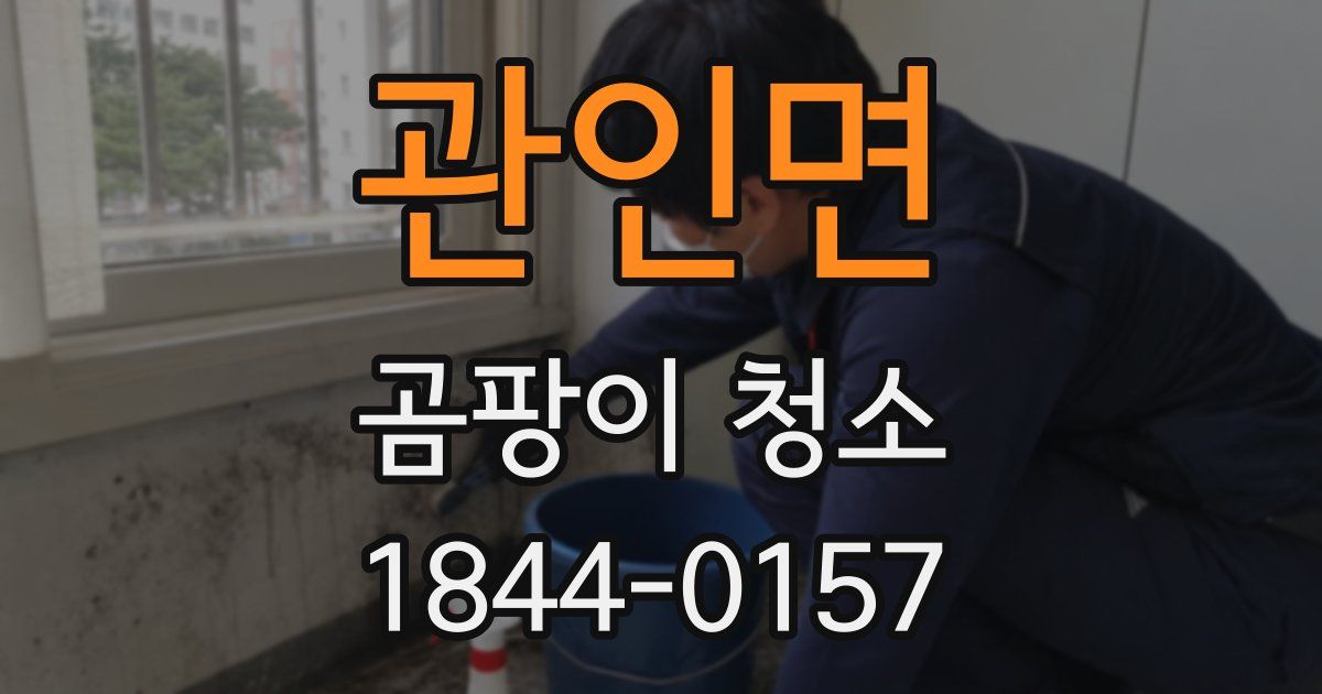 관인면 곰팡이 청소