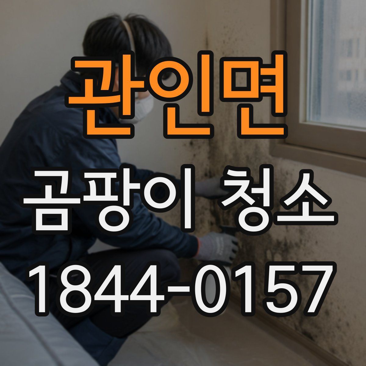 관인면 곰팡이 청소