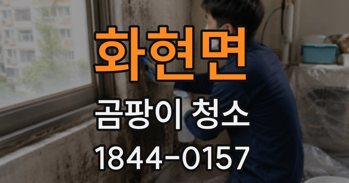 화현면 곰팡이 청소