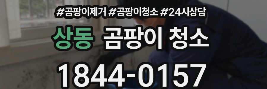 상동 곰팡이 청소