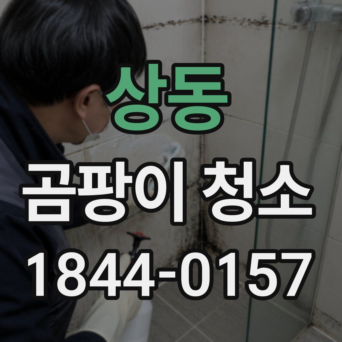 상동 곰팡이 청소
