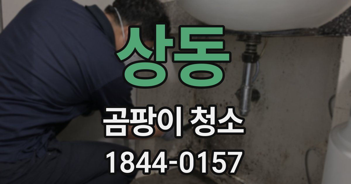 상동 곰팡이 청소