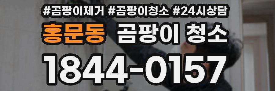 홍문동 곰팡이 청소