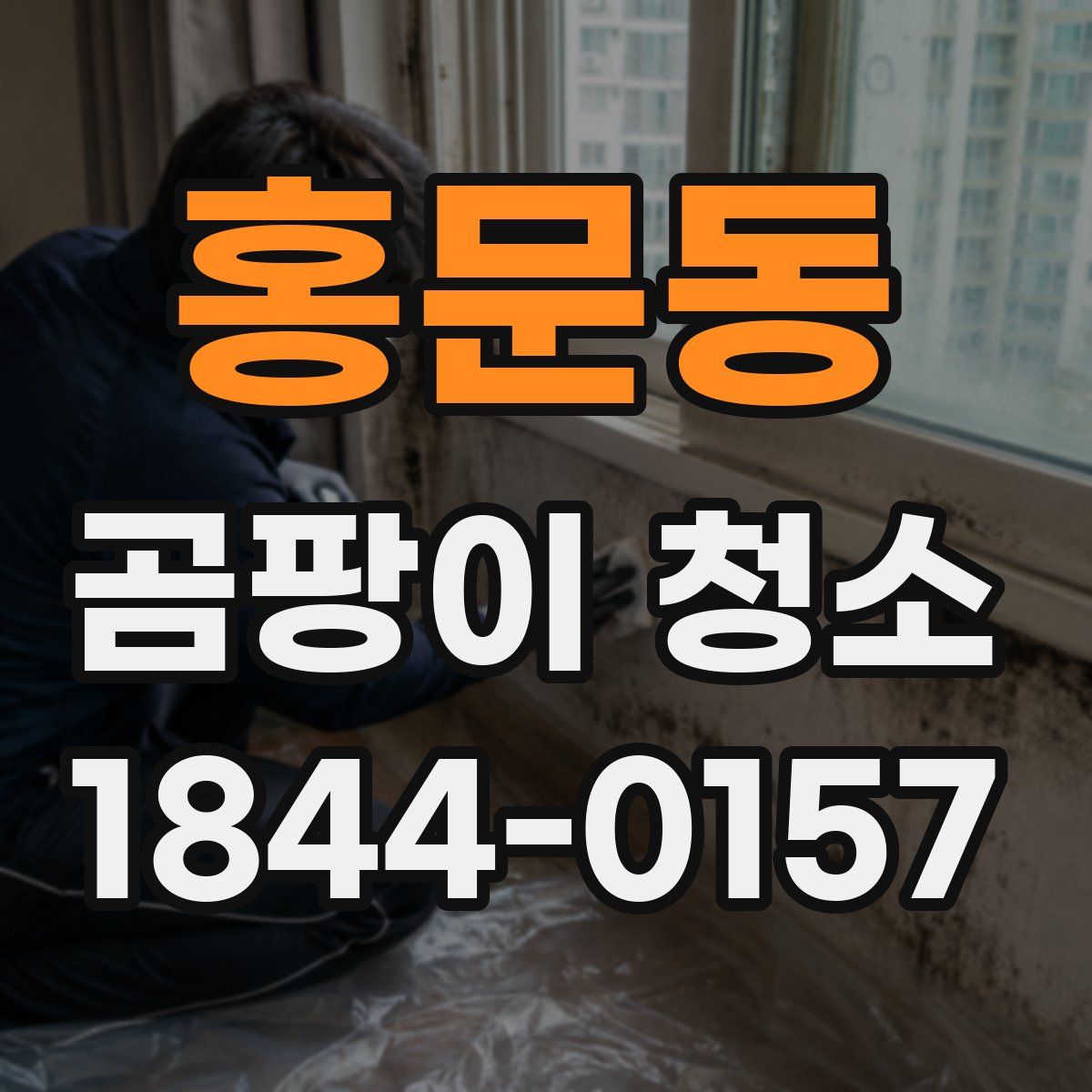 홍문동 곰팡이 청소