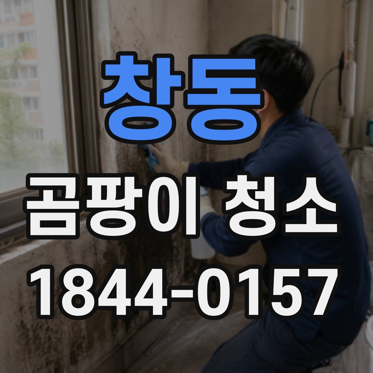 창동 곰팡이 청소